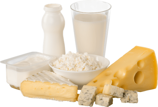canva dairy products cheeses yoghurt and milk isolated MADFCqabUyE