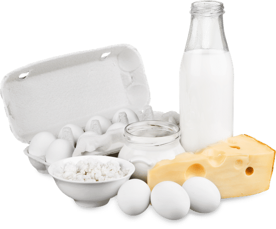 canva dairy products cheeses eggs and milk MACjgXHk7AI