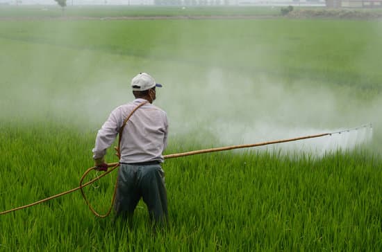 canva farmer spraying pesticide on a rice field MADQ5g4ssUw