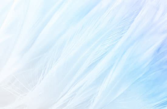 canva feather MAC4 3v1RNE