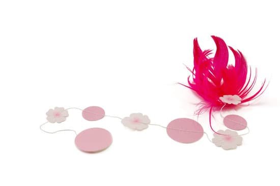 canva feather MAC6H324qVo