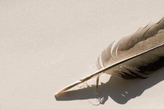 canva feather