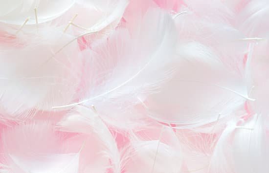 canva feather MADAZUsVkkM