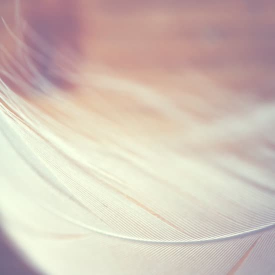 canva feather MAEEgPFmlWg