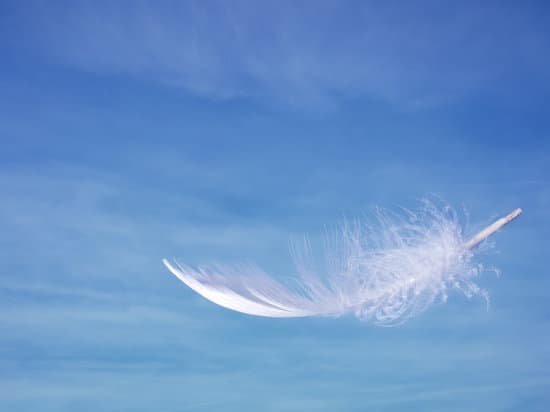 canva feather and sky MAA5uqeco28