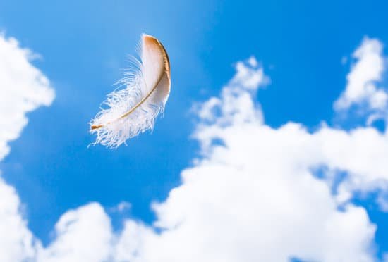 canva feather in the sky MADarukEpBw