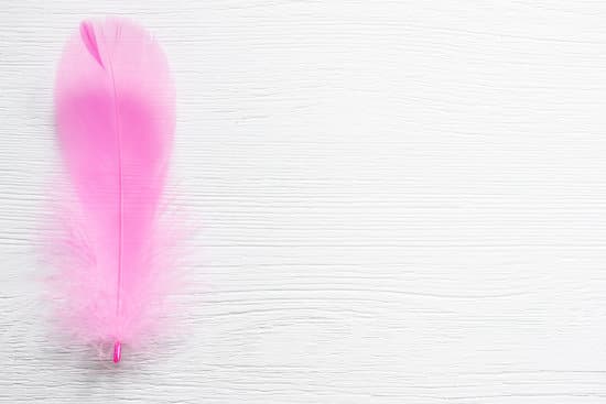 canva feather. MAD71hZVBM4