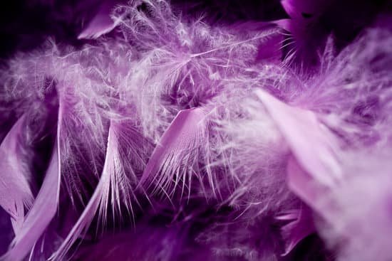 canva feathers MAC8btrMAyQ