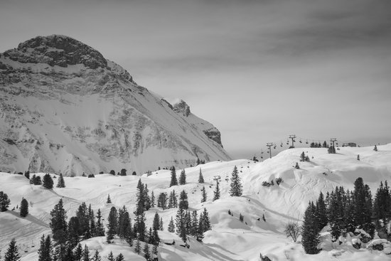 canva field filled with snow with pine tress near alp mountain MADGyKgigHs