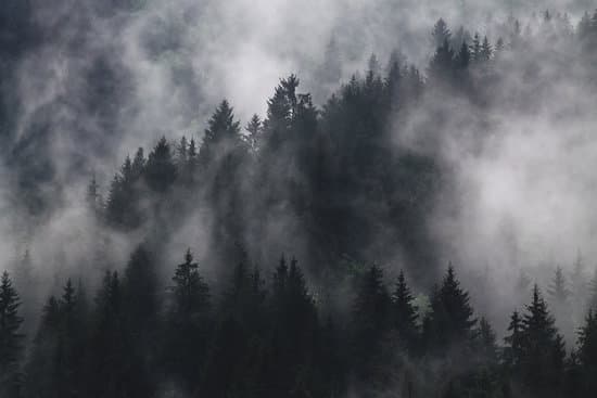 canva foggy mountain forest MADQ4ygvTyY