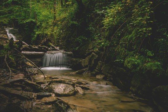 canva forest and water falls landscape photo MADGxthN dk