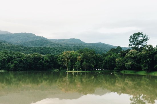 canva forest beside lake MADGyFGp3oo