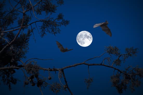 canva full moon at night