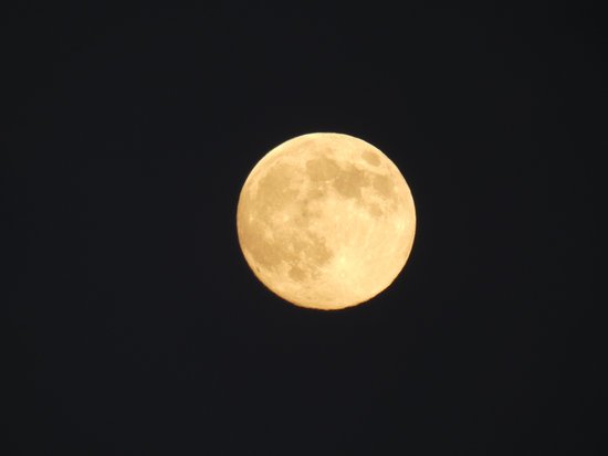 canva full moon big moon MADFyM4lnT0