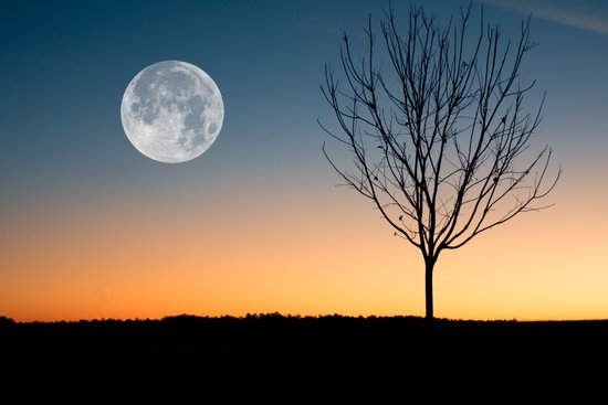 canva full moon on a daybreak MADGybtWChA