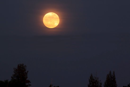canva full moon super moon