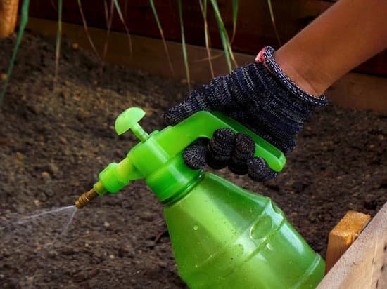 canva gloved gardener spraying spray bottle MAEM itvmQI