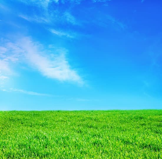 canva grass and sky MACu2mFr2p4