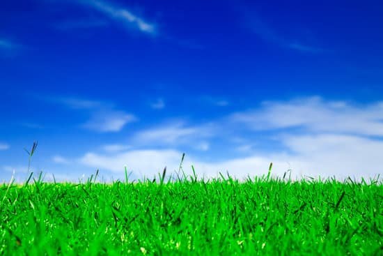 canva grass and sky MADerNgQ2uE