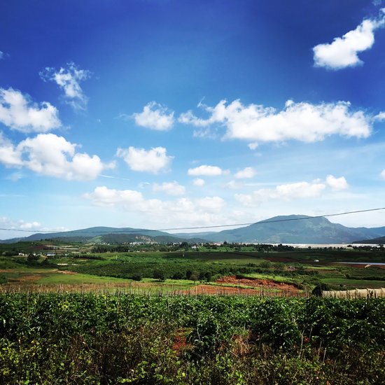 canva grass field under blue sky MADGybrvOGs