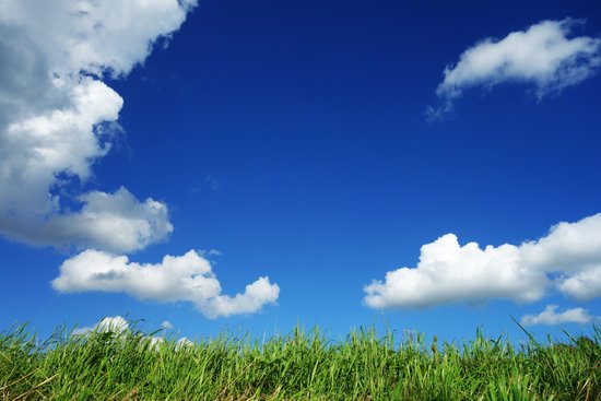 canva grass field under cloudy sky