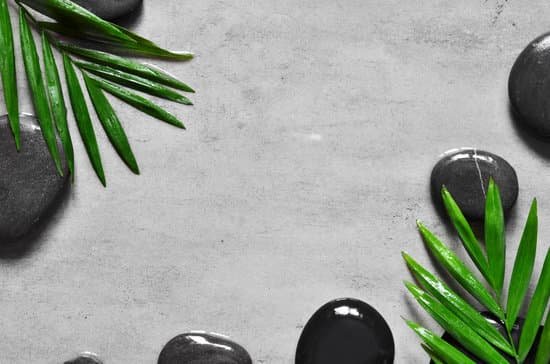 canva grey spa background palm leaves and black wet stones top view MADauOvvgVc