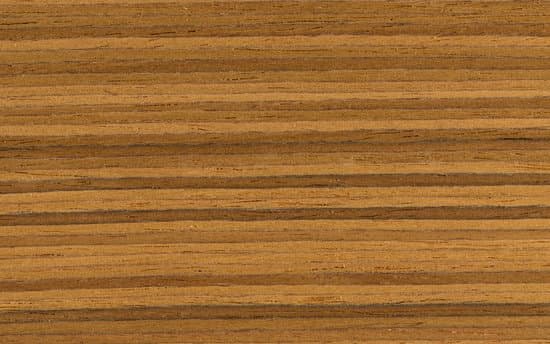 Hardwood Floors And Pet Hair, Does Dyson V10 Scratch Hardwood Floors