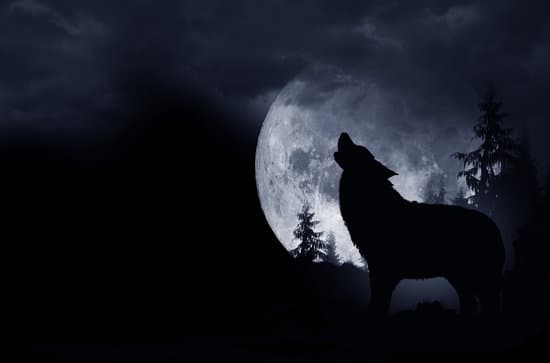 canva howling wolf background MABf7pDPd0Q
