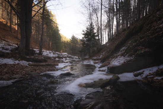 canva ice on forest path MADGyeXU2AQ
