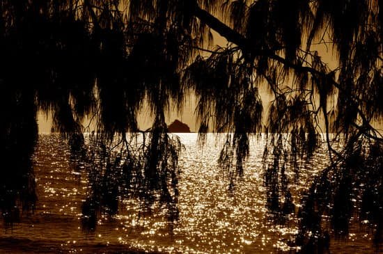 canva island MAC6YJ9eRkg