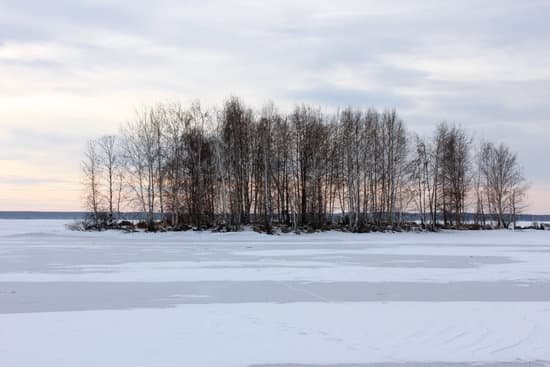 canva island MAEEYjFNC9M