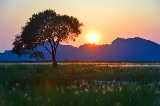 canva island MAEIypdOZtA