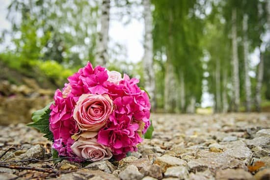 canva just married MADCPEC2mpo