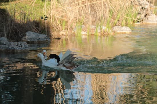 canva lake MAECQJRBn38