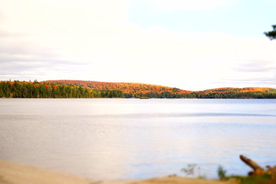 canva lake near forest MADGyIV W3M