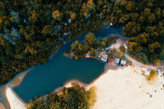 canva lake surrounded by trees MADGv3r8roY