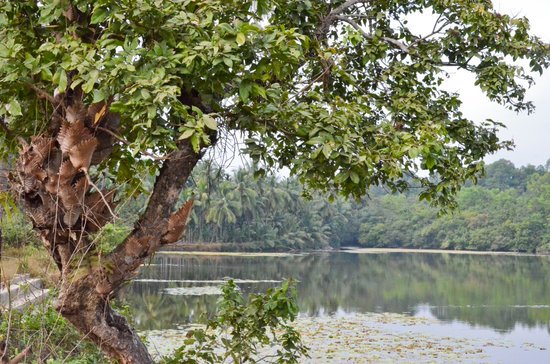 canva lake view karkala lake MADFWyJ2pYI