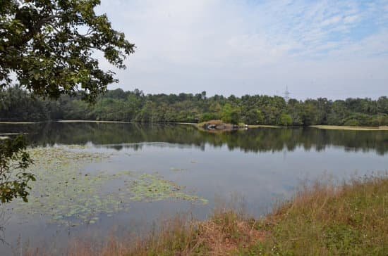 canva lake view karkala lake MAEJkkCLT0w