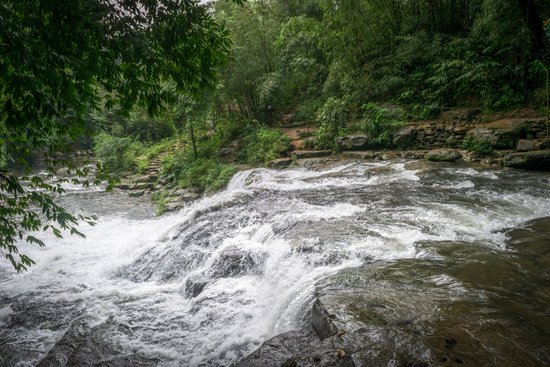 canva landscape photography of river in forest MADGyT2yI0E