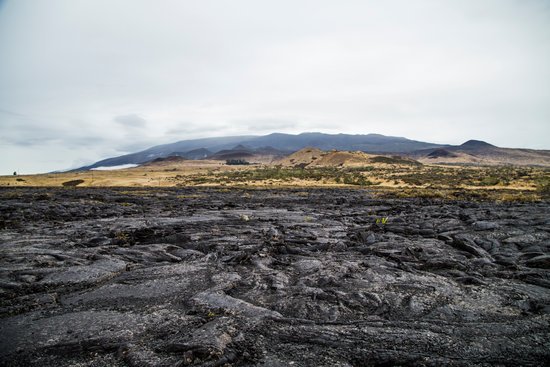 canva lava MADJjdzsOKM