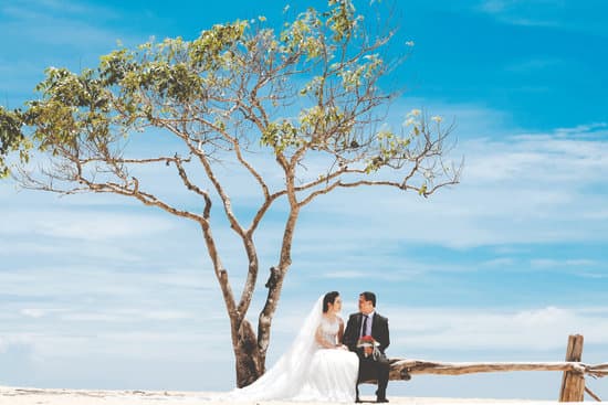canva married couple sitting close under tree