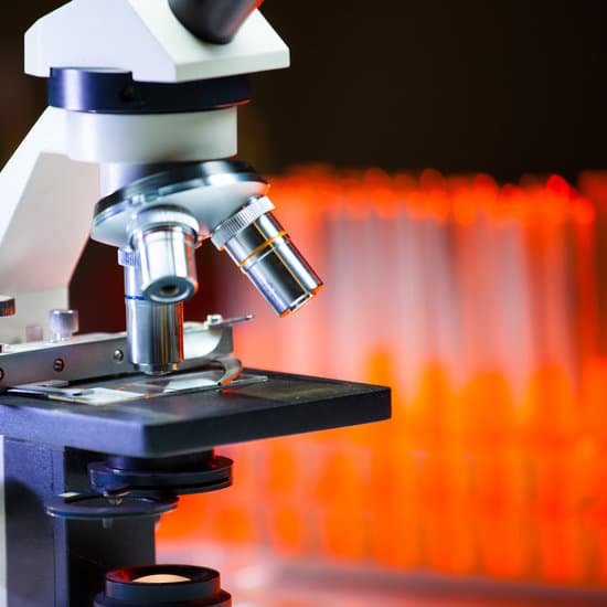 canva microscope MABcNX4Ek0k