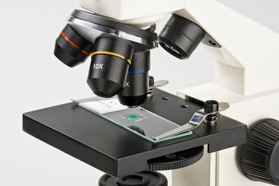 canva microscope MAC53XtYGHA