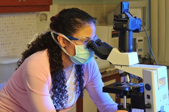 canva microscope MAC8i8pg Xw