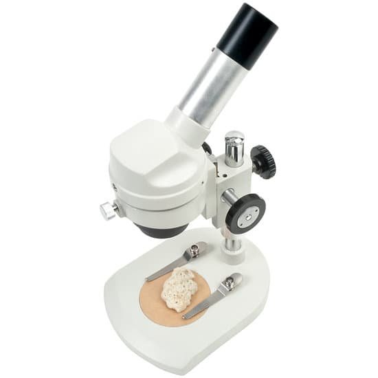 canva microscope MAC9qaiGKss