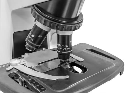 canva microscope MAC 6WPVq8E