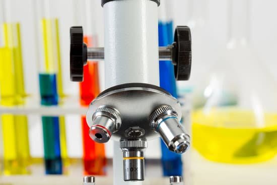 canva microscope MACfU2jfaeY