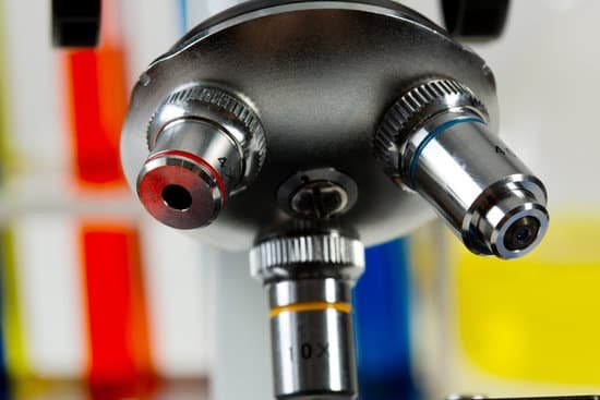 canva microscope