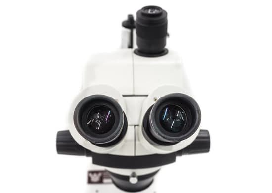 canva microscope MADA607zA 0