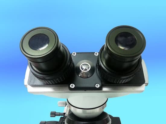 canva microscope MADAHukM3OI